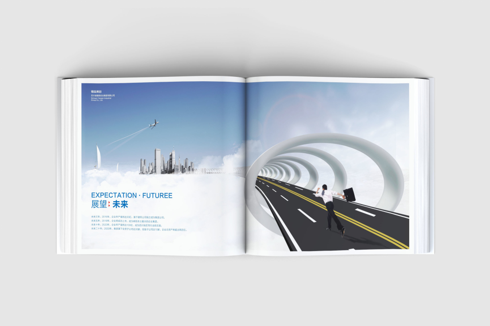 龙圩区画册设计